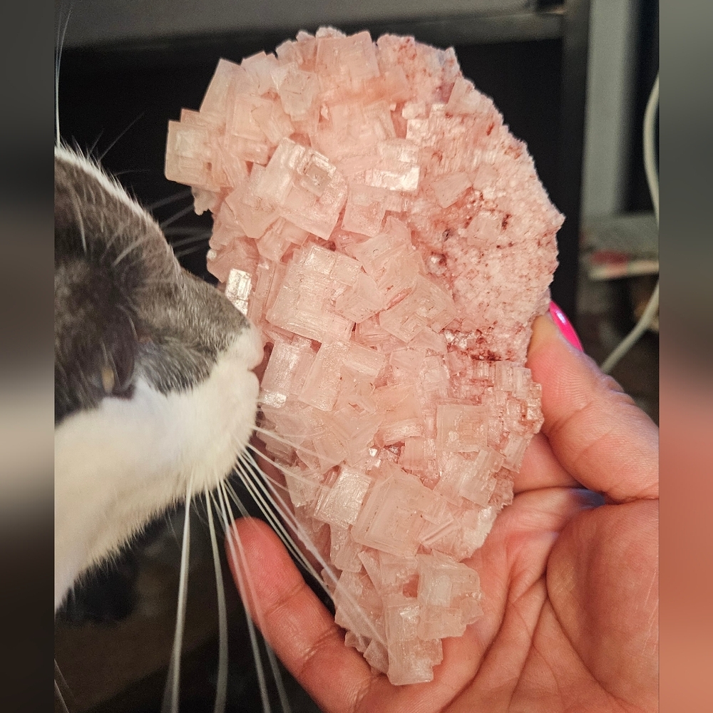 Halite Cluster